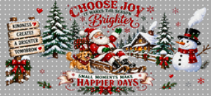 16oz Christmas-S  2972